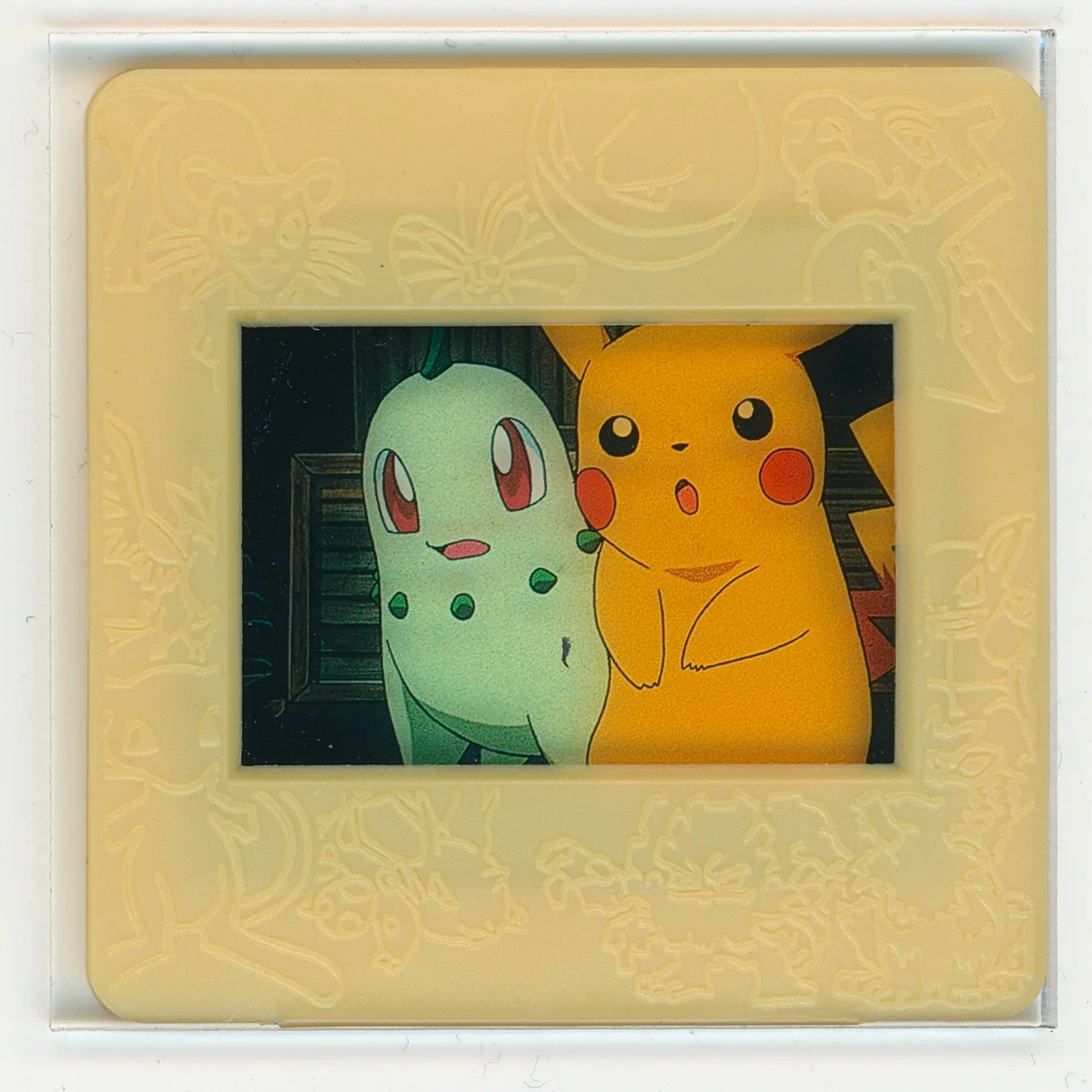 pikachu, chikorita